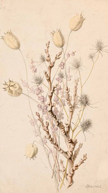 null Augustin Alexandre THIERRIAT (1789 - 1870)

Etude de branches. Aquarelles. Signées....