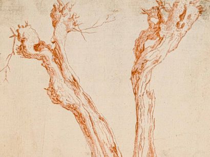 null Ecole française du XVIIIe siècle 

5 études d'arbres. Contre-épreuves de dessins...