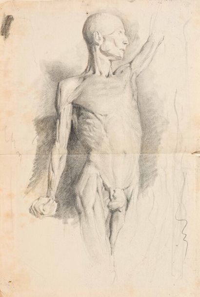 null [Anatomie] Ecole française du XIXe siècle

Lot de deux dessins au crayon.

Dimensions...