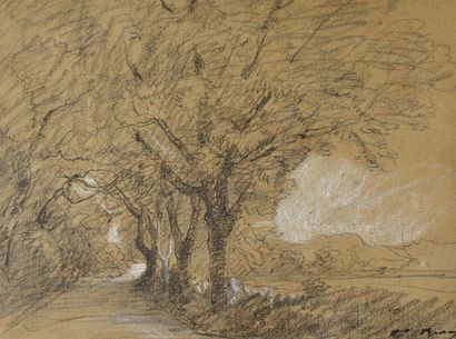 null François-Auguste RAVIER (1814-1895)

Chemin d'Iselet bordé d'arbres 

Fusain,...