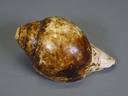 null INDIA. Ritual conch made in a shell. First half of the 20th century

Length...