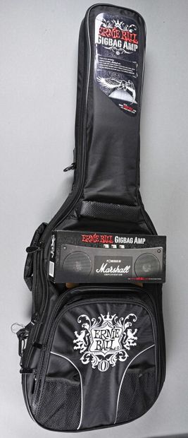 Ernie Ball electric guitar Gigbag amp case...