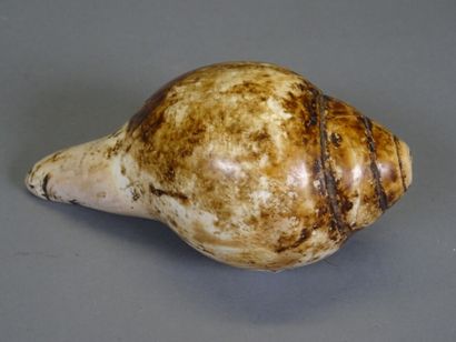 null INDIA. Ritual conch made in a shell. First half of the 20th century

Length...