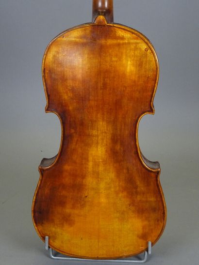 null Violin with Bocani label in Mentou. Two pieces back 360 mm