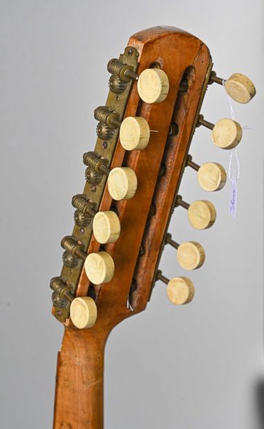 null Mandolin with six double strings

To be restored