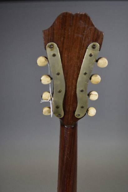 null Rare mandoline "ailée" dite mandoline alato, faite par Luigi Salsedo à Naples...