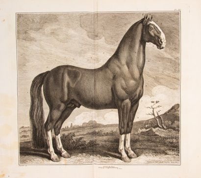  LAFOSSE (Philippe Étienne). Cours d'hippiatrique, ou Traité de la médecine des chevaux....