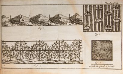 null SCHABOL (Roger). La Pratique du jardinage. Paris, Debure père, 1770. 2 vol....