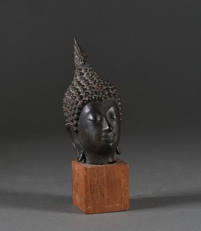 null THAILAND, Alyutaya - 19th century

Buddha head, face serene, ears with elongated...