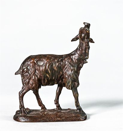 null Ecole FRANCAISE du XIXe siècle

Chevrette

Epreuve en bronze à patine marron...