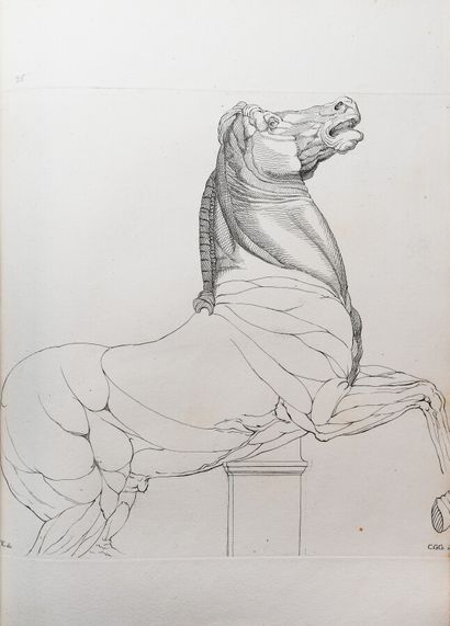 null GERLI (Carlo Giuseppe). DISEGNI DI LEONARDO DA VINCI. 

Milan, Gerli, 1784....