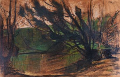 null Eugène BROUILLARD (1870-1950)

Paysage de sous-bois

Pastel sur panneau, signé...