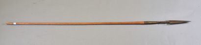 AFRICA 
Barbed spear 
Iron and wood 
118...
