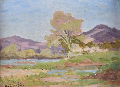 null Clovis TERRAIRE (1858-1931)

Paysage

Huile sur carton

H. 24 cm - L. 33 cm