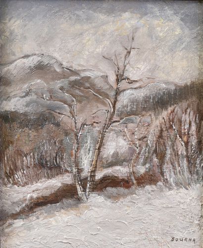 null René BOURNA (1921-2014)

Paysage de neige

Huile sur toile signée en bas à droite

H....