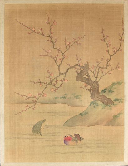 null JAPAN - EDO period (1603-1868) 

Beautiful collection of twenty-two watercolors...