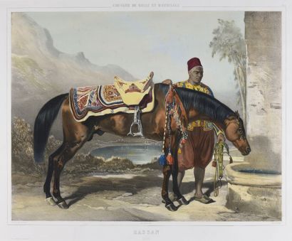 null Alfred de DREUX (d'après) 1810 - 1860 

Hassan (étalon arabe et son saïk devant...