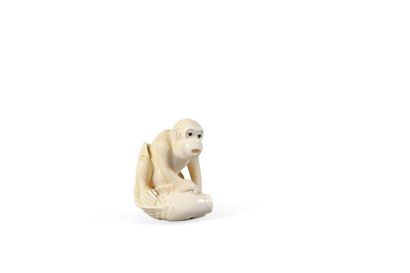 ** JAPON - Époque MEIJI (1868-1912), vers 1900 Netsuke en ivoire d’éléphant figurant...