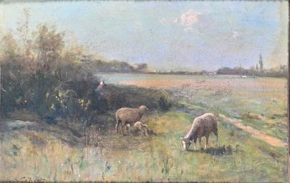 null Edwin Sherwood CALVERT (1844-1898)

Paysage aux moutons

Huile sur toile, signée...