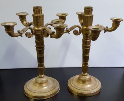 null Une paire de candélabres en bronze doré. Restauration.

H. 32,5 cm L. 27 cm