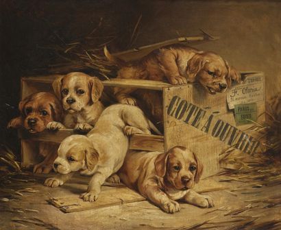 null Federico OLARIA (1849-1898)

Chiots sortant d'une caisse, 1893

Huile sur toile

H....