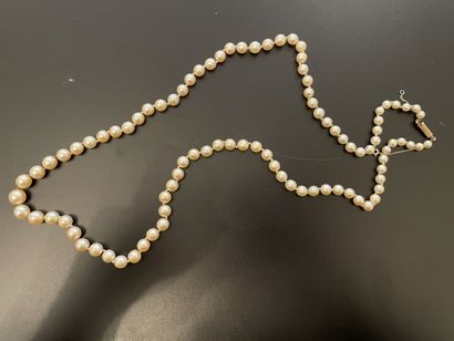null Collier formé de 93 perles de culture blanches disposées en chute, fermoir cylindre...
