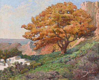 null Désiré GIRARD (1863-1938)

L'arbre jaune

Huile sur toile signée en bas à gauche...