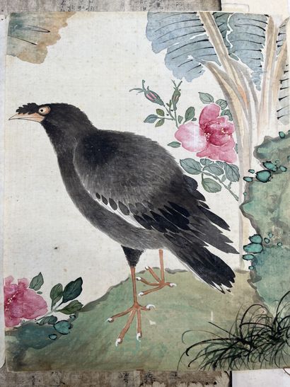 CHINE, fin XIXème siècle 
Dessin aquarellée...