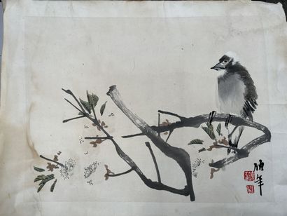 null CHINE, fin XIXème siècle

Dessin aquarellée d'un oiseau noir parmi les fleurs,...