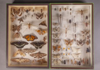 null Ensemble de six boîtes de France de collection de papillons et insectes et trois...
