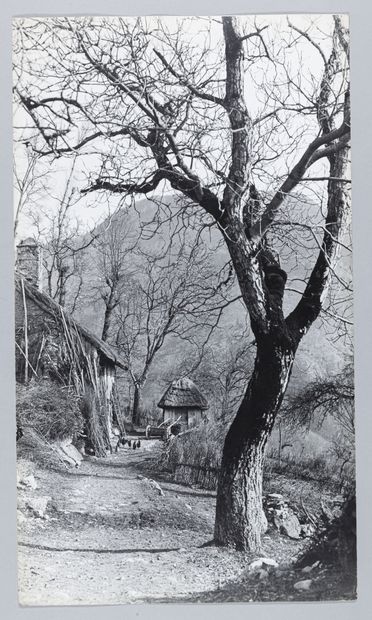 null Théo BLANC (1891-1985) 

Paysages (montagne, Provence, bords de mer, Parc de...