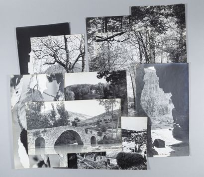 null Théo BLANC (1891-1985) 

Paysages (montagne, Provence, bords de mer, Parc de...