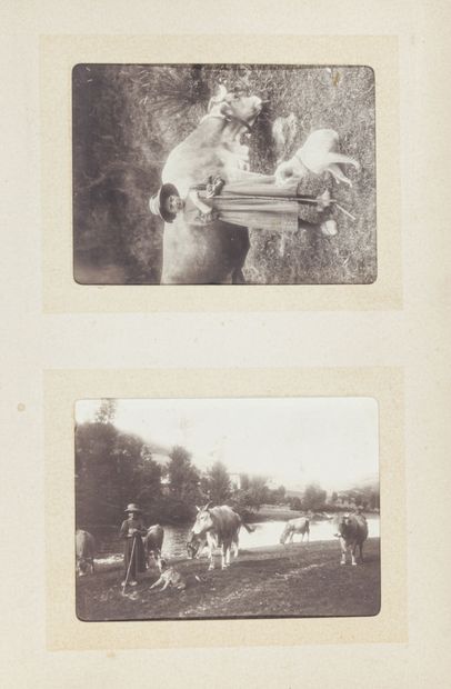 null Amateur du Nord de la France 1911/1912

Sympathique album « Kodak souvenirs...