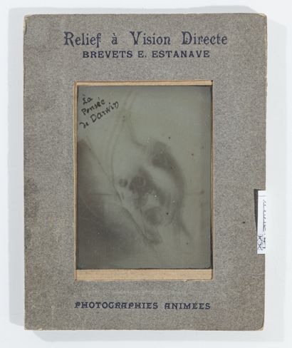 null Eugène ESTANAVE (1867-1937)

La Pensée Darwin

Très rare et facétieuse «photographie...