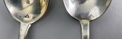 null Onze cuillères à thé en argent, tige en éventail

Tchécoslovaquie, 1929-1949

800°/°°

Maître...