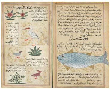 null INDE, XVII - XVIIIème siècle

Deux folios d'un 'Aja'ib Al-Makhluqat

Encre,...