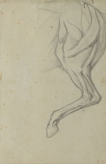 null Eugène DELACROIX (1798 - 1863)

Écorché, jambe postérieure gauche de cheval...