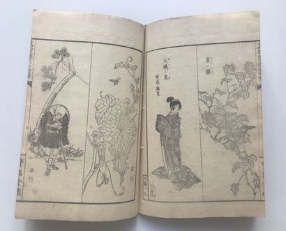null COLLECTIF, époque Meiji (1868-1912)

Recueil de motifs

1 volume, format 22,8...