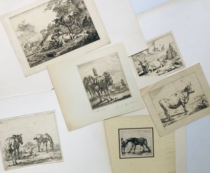 null École FLAMANDE

Ensemble de 6 gravures : 

Les mulets par Karel Dujardin, Dumesnil...