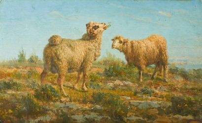 François SIMON (1818-1896) 
Moutons en bord...
