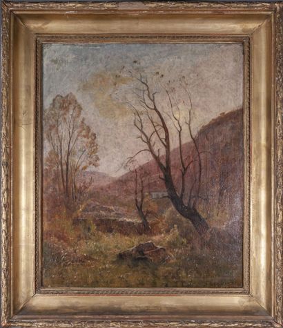 null Jean-Aimé SAINT-CYR GIRIER (1837-1911/12)

Paysage d'automne

Huile sur toile...