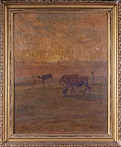 null Clovis Frédérick TERRAIRE (1858-1931)

Vaches et gardien, effet de soleil

Huile...