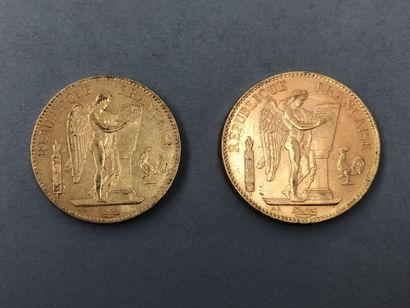 null FRANCE

Lot de deux pièces de 100 francs or au Génie: A 1879 et A 1904

Poids...