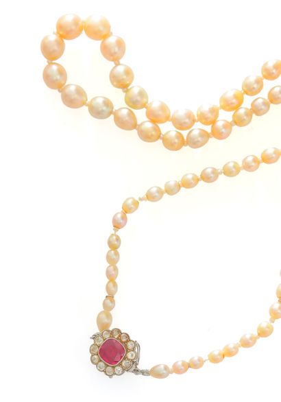 null Collier formé de 67 perles fines légèrement crèmes disposées en chute alternées...