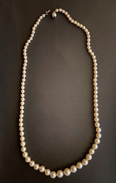 Collier formé de 91 perles de culture disposées...