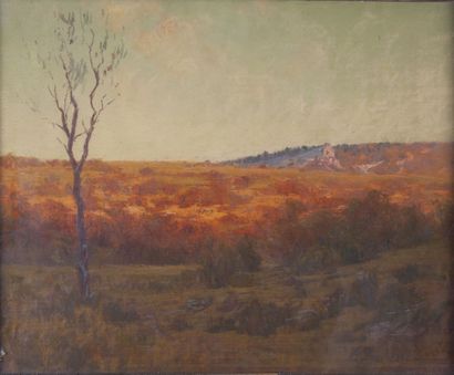 null Élie DECHELLE (1874-1937)

Plateau en automne

Pastel signé en bas à droite

H....