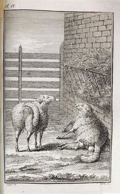 null DAUBENTON. INSTRUCTION FOR SHEPHERDS and for flock owners; with other works...