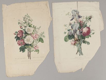 null VARIA

Lot of about 15 prints :

including a pair of bouquets of roses, rare...