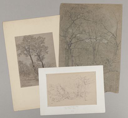 null Ecole Lyonnaise du XIXème siècle

Lot de trois dessins:

-Etude d'arbres par...