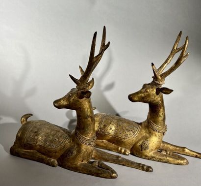 null THAILAND, late 19th century

Pair of sculpted deer in gilt bronze, lying with...